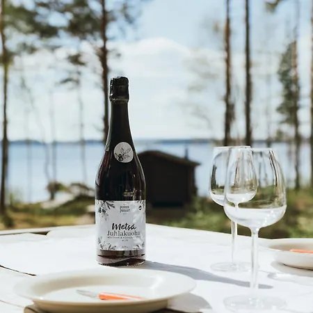 Villa Kustaantaehti Pälkäne